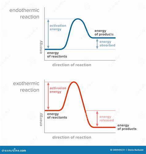 Energía De Activación En Reacciones Endotérmicas Y Exotérmicas