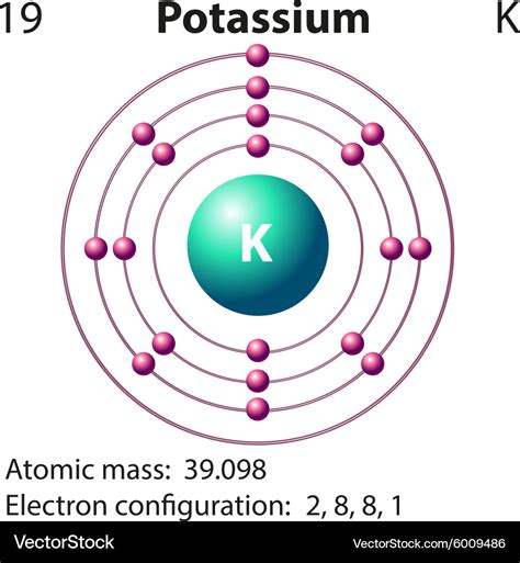 Diagram Representation Of The Element Potassium Vector Image
