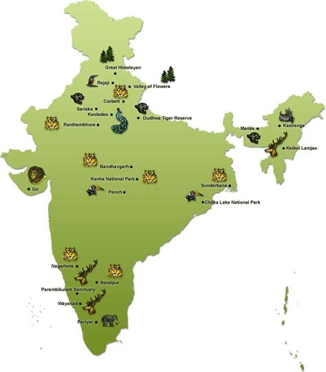 A Snapshot Of Indian Wildlife Summed Up Well Wildlife Of India