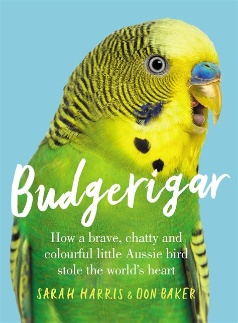 Buy Budgerigar: How a Brave, Chatty and Colourful Little Aussie Bird