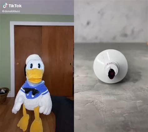 Donald Duck Tiktok Compilation 2😅 Video In 2021 Silly Jokes All
