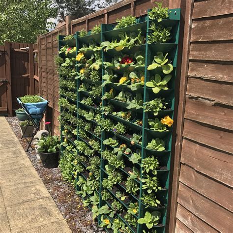 Pin On Greenwall Vertical Planting System