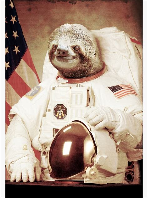 Astronaut Sloth Poster By Bakuspt Redbubble