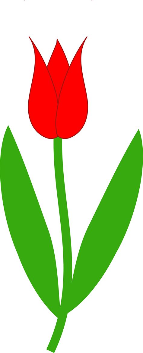 Red Tulip Clipart Clipart Best