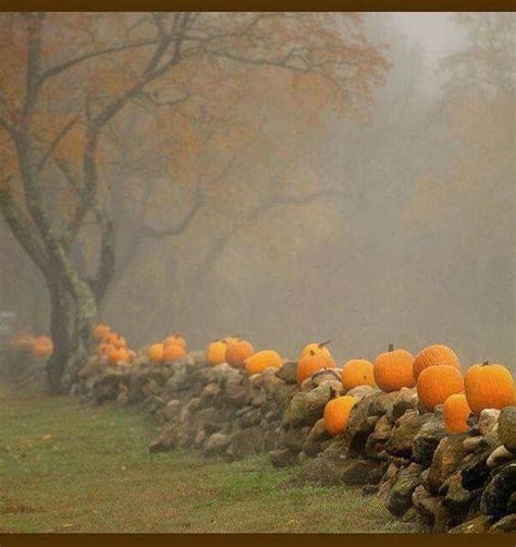 Pin By Tracy Przybyski On Autumn Fall Pictures Autumn Scenery