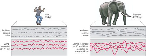 Figure 2 From Keeping An Ear To The Ground Seismic Communication In