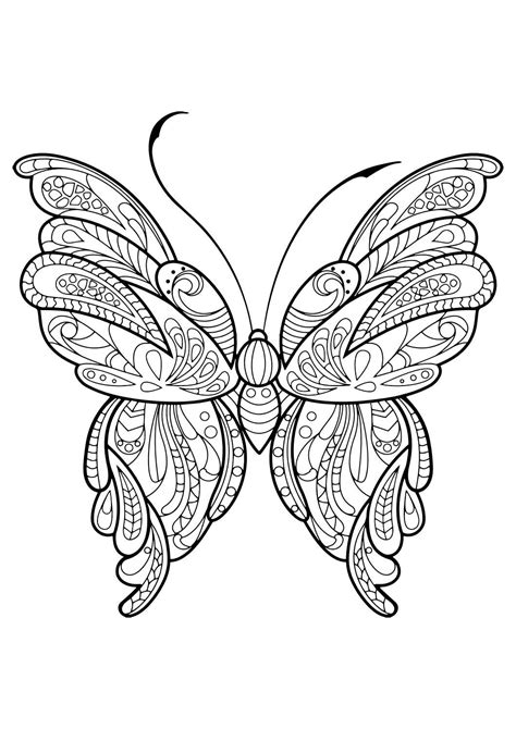 Butterfly is one of the most admired animals for its beauty. Adult Butterfly Coloring Book | Butterfly pictures to ...