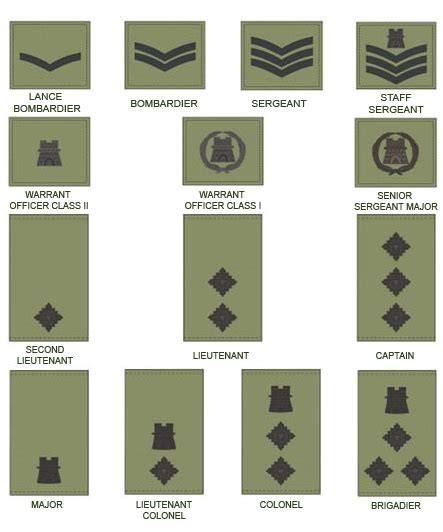 For officers, air force, army and marine corps symbols are largely the same, while the navy and coast guard generally mirror each other. Rank Insignia