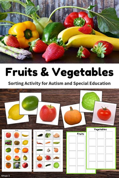 Fruits And Vegetables Sorting Activity Special Education Resources