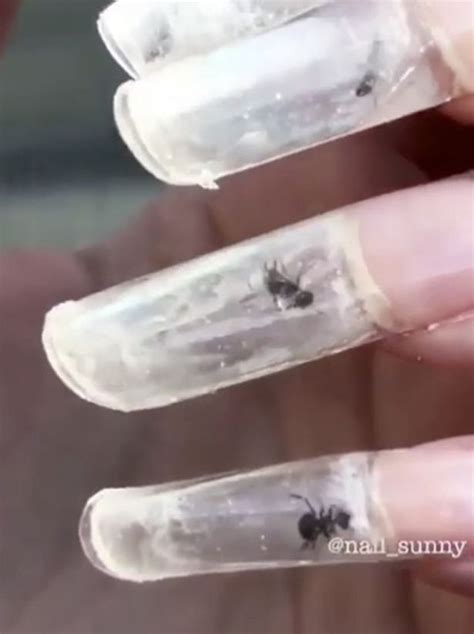 Sick Nail Salon Slammed For Cruel And Disgusting Manicure