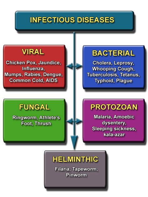 Types Of Diseases