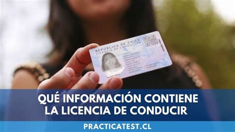 Qué Información Contiene La Licencia De Conducir