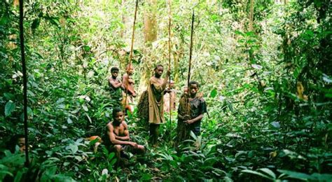 La Selva Del Congo Localización Y Características