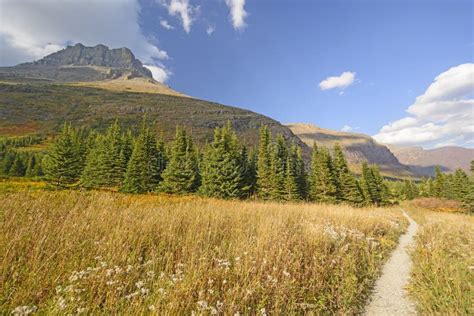 Mountain Meadow On A Sunny Fall Day Stock Photo Image Of Rocky