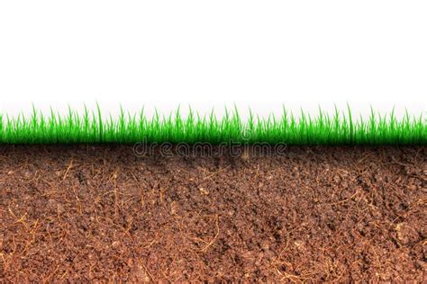 Cross Section Brown Soil And Green Grass In Underground Stock Image