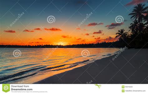 Palm Tree And Tropical Beach In Punta Cana Dominican Republic Stock