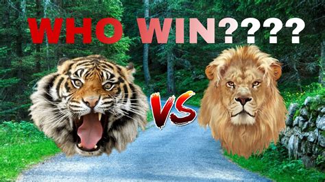 Tiger Vs Lion Who Win Youtube