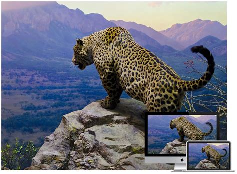 30 Amazing Wildlife And Animal Wallpapers Hongkiat