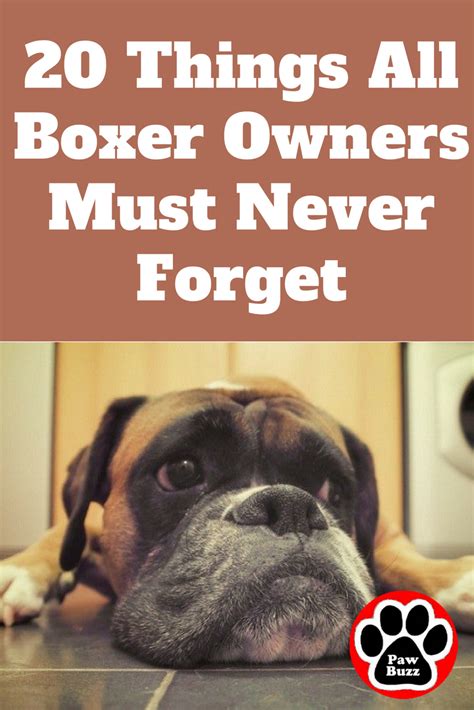 20 Things All Boxer Owners Must Never Forget The Last One Brought Me