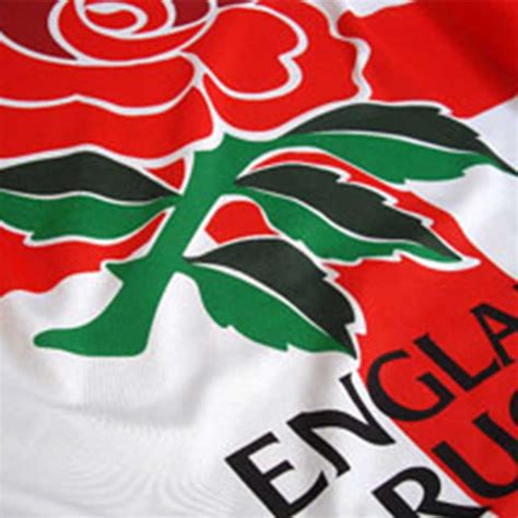 England Rugby World Cup Flag 5ft X 3ft Polyester Rfu Crest Flag Ebay