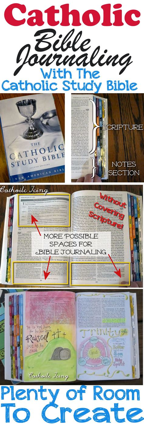 How To Bible Journal Using The Catholic Study Bible