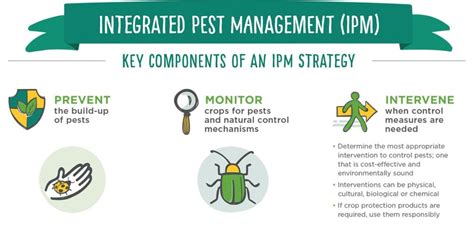 Sustainable Pest And Disease Management In Agriculture