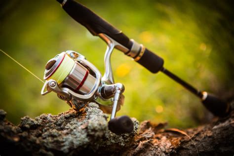 11 Best Spinning Reels Under 100 Fishmasters Com