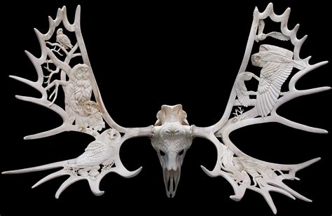 Gallery Antler Art Bone Art Bone Carving