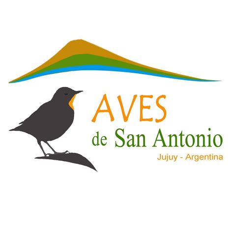 Aves De San Antonio