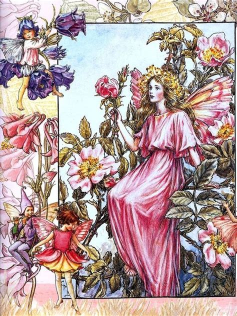 The Wild Rose Fairy Summer Fairy Cicely Mary Barker Flower Fairies