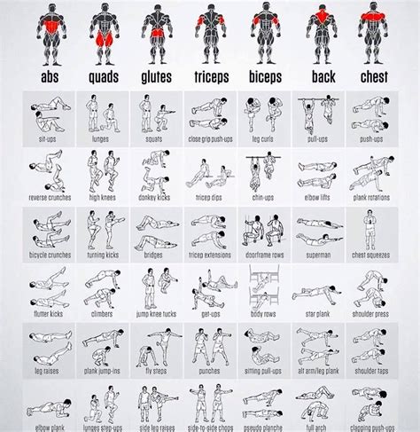 Types Of Workout For Different Parts Of The Body Bodyweight Workout