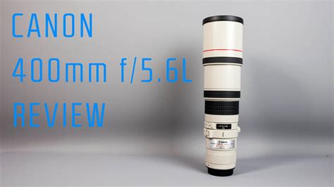 Canon 400mm F56l Review Best Lens For Wildlife