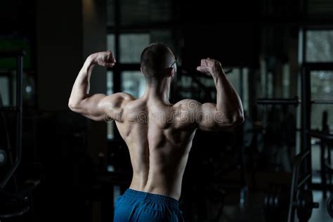 Muscular Man Flexing Muscles In Gym Stock Photo Image Of Biceps