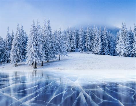 Serene Winter Landscape Cracked Blue Ice