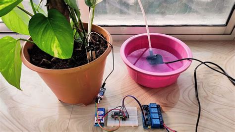 Automatic Plant Watering System With Arduino