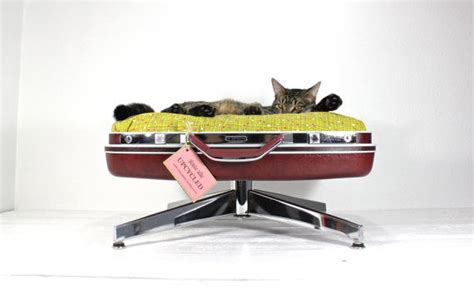 Vintage Suitcase Cat Loungers Suitcase Cat Bed