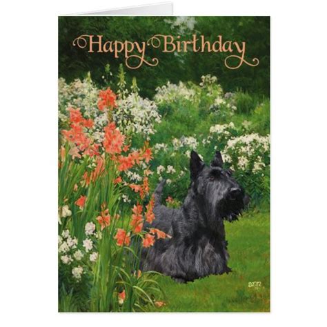 Scottish Terrier Birthday Card Zazzle
