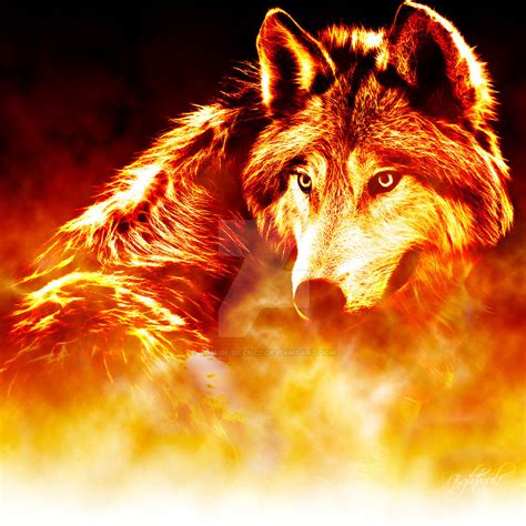 Burning Wolf By Tom In Silence On Deviantart