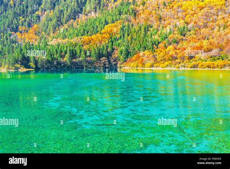 Aerial View Of Five Flower Lake At Autumn Sunrise Time Stock Photo Alamy