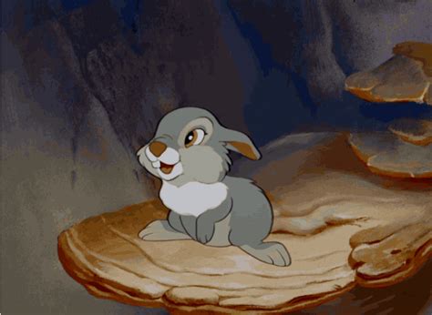 Definitive Ranking Of Thumpers Cutest Moments Disney Sidekicks