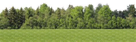 Meadow With A Row Of Trees Cut Out Backgrounds Vishopper