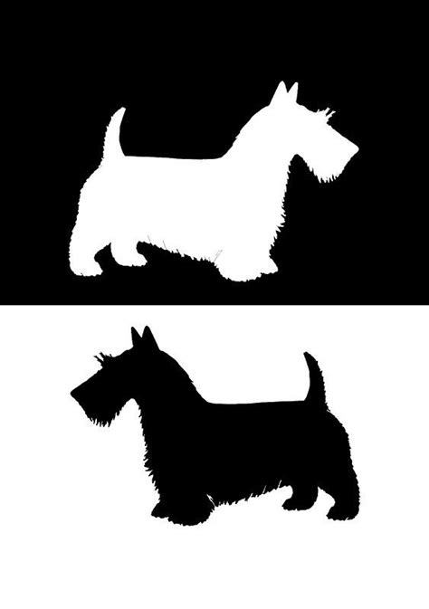 Scottish Terrier By Delirusfurittus Scottish Terrier Terrier Scottish