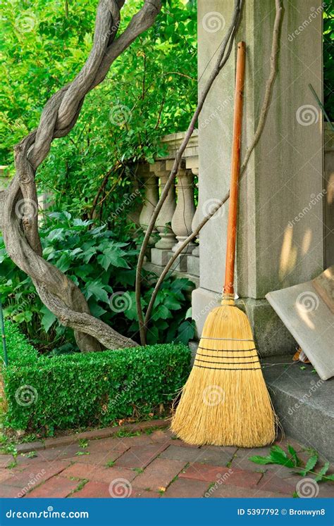 Broom In Garden Stock Photo Image Of Brush Boxwood Patio 5397792
