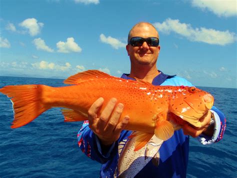Cairns Fishing Charters And Private Snorkel Tours