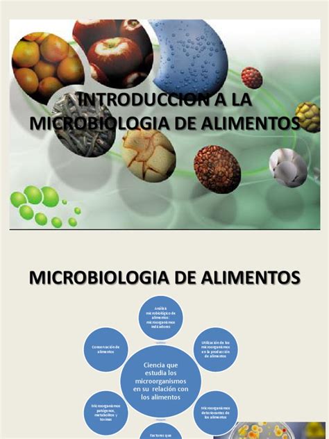 Introduccion A La Microbiologia De Alimentospptx Las Bacterias