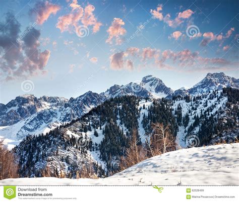 Beautiful Winter Mountain Scenery Stock Image Image Of