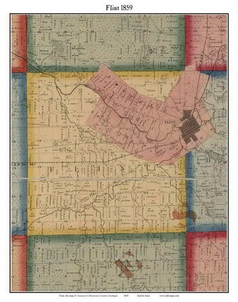 Flint Michigan 1859 Old Town Map Custom Print Genesee Co Old Maps