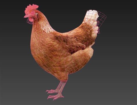 3d Model Hen Chicken Vr Ar Low Poly Cgtrader