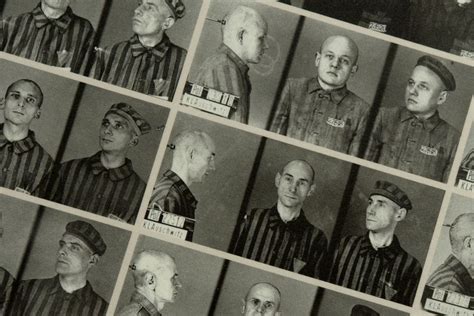 La Persecución De Los Homosexuales En La Alemania Nazi Auschwitz