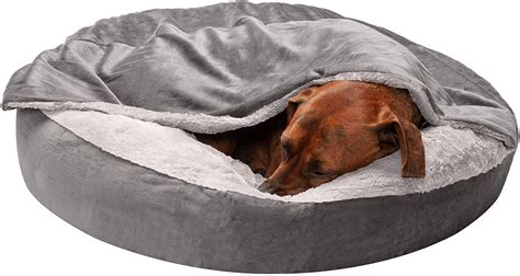 The Best Calming Dog Beds On Amazon In 2021 Spy